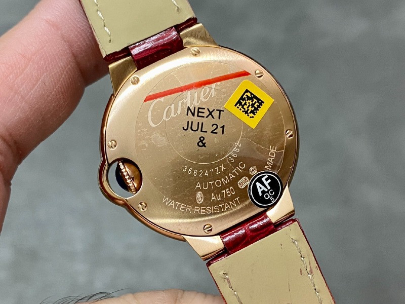 wsxc1727732610841_6.jpg